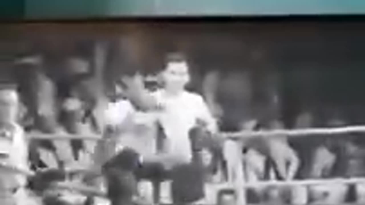 Jerry Lewis the smart boxer