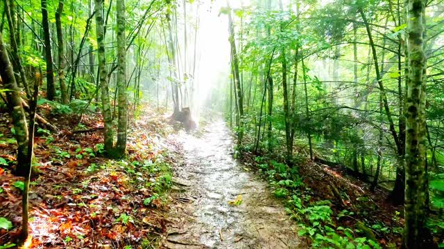 The cross bore all of eternity