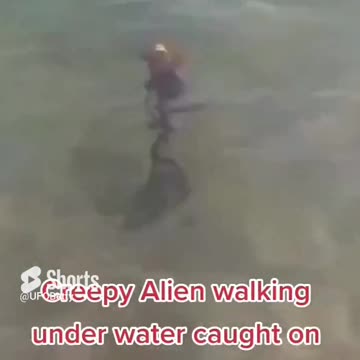 Aquatic Alien Extraterrestrial Being walking under water ??