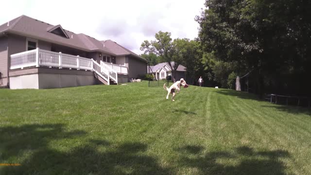 BT Bman Strong5 Long