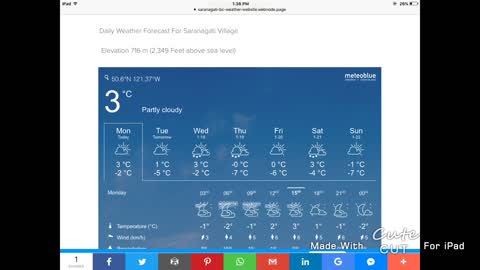 Saranagati Village Weather January 16 2023🇨🇦