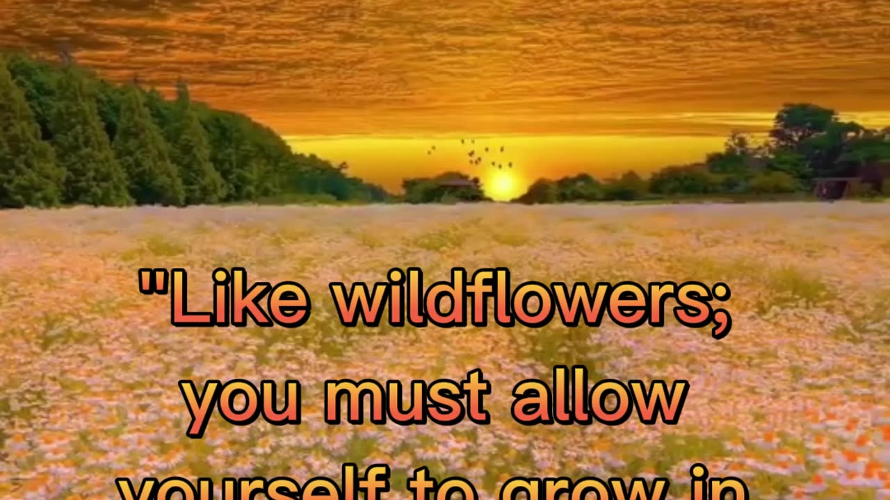 Like Wildflowers #shorts