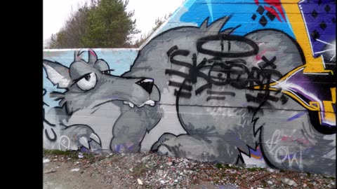 VihtiGraffiti VG25