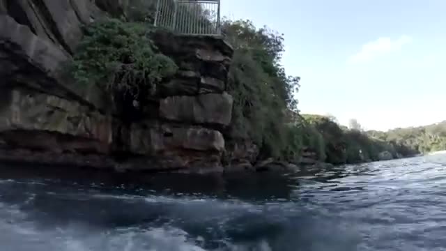 GoPro: Man Fights Off Great White Shark In Sydney Harbour