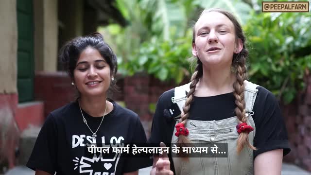 Welcome to the Neepal Firm Helpline | Animals | Dog Training