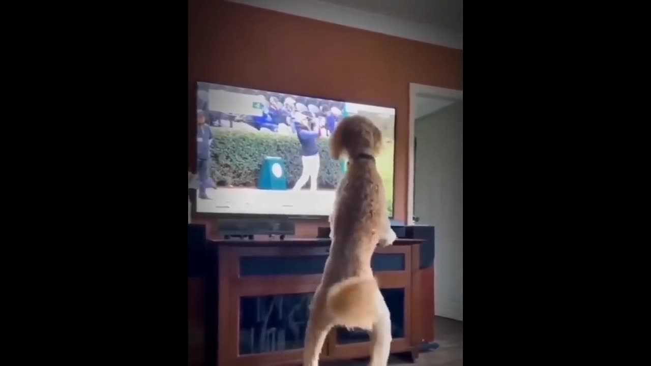 Funny π€£ Animal dog πΆ And girls πΈand funny π€£ and funny ππ