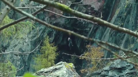 Action movies #actionmovies #viralvideo #trending #trendingvideo