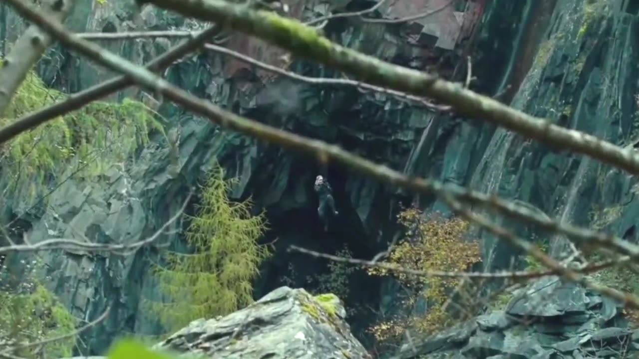 Action movies #actionmovies #viralvideo #trending #trendingvideo