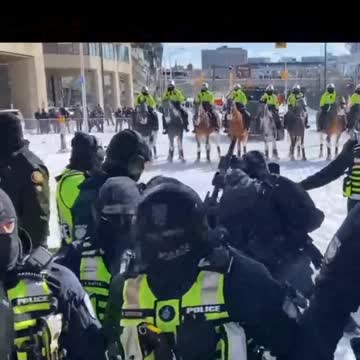 Ottawa: police appear to beat protster with rifle