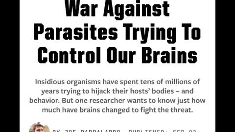 The Parasite Problem - Part 2