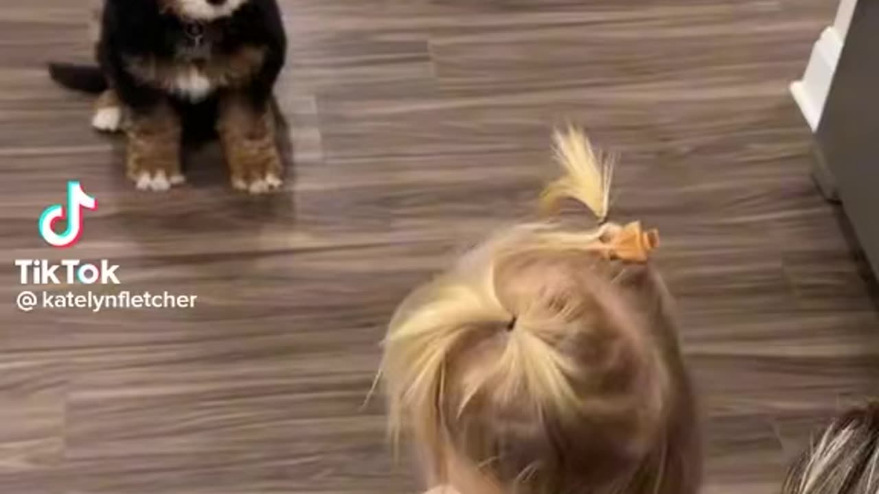 PUPPY MEETS LITTLE GIRL FOR THE FIRST TIME