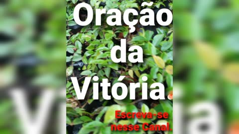 Oração da Vitória🙌🏻. Deus é Fiel.