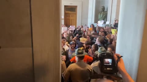 Leftists Storm Capitol & Threaten Violence If They Don't Get Gun Reform To Stop Gun Violence?