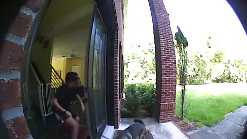 Funny video