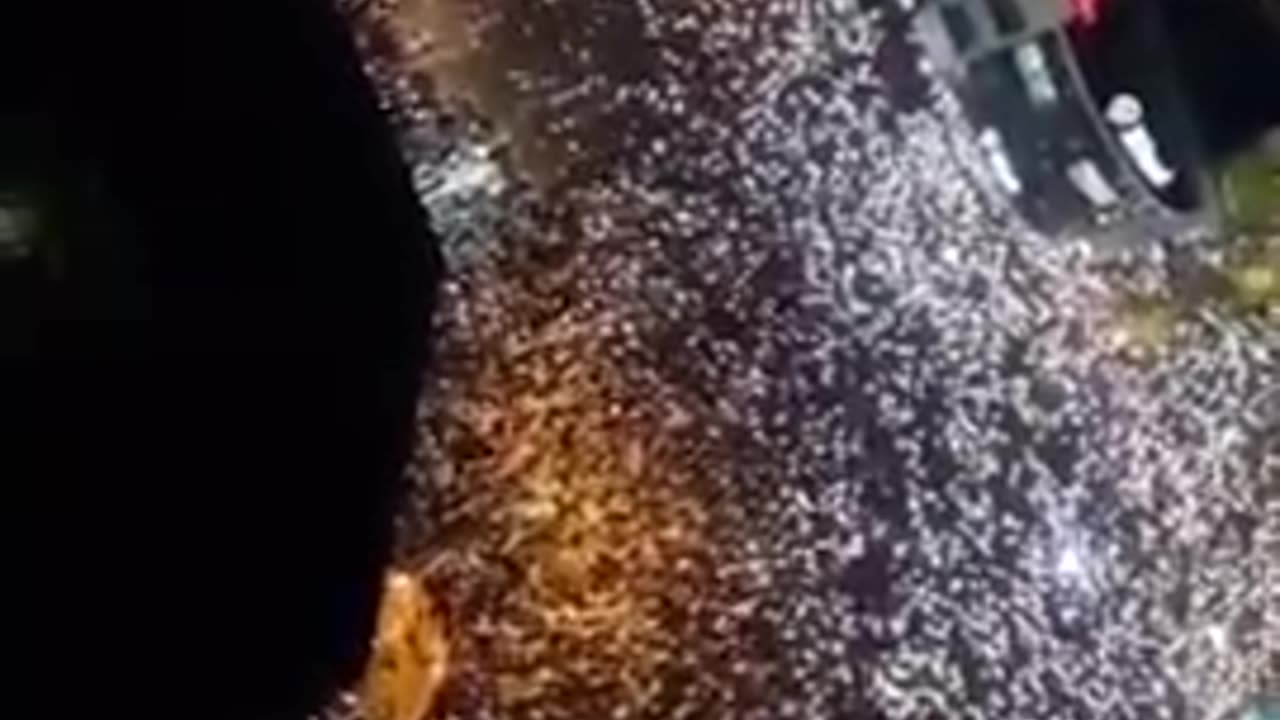 Protests erupted in #Serbia yesterday after a train station collapsed just months after opening