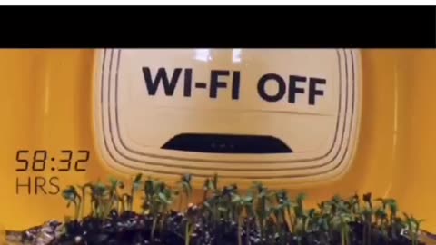 Wi-fry