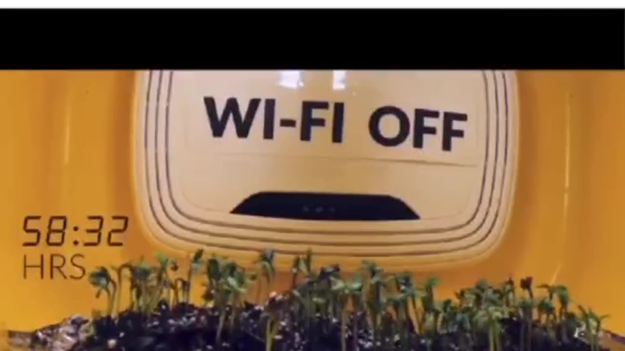 Wi-fry