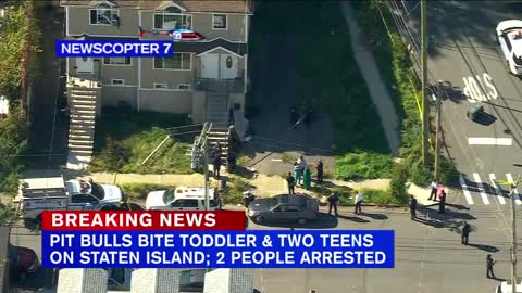 2 teens, toddler attacked by pit bulls on Staten Island