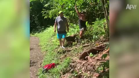 Funniest Videos of 2023 Compilation