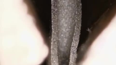 The microscope loves the needle