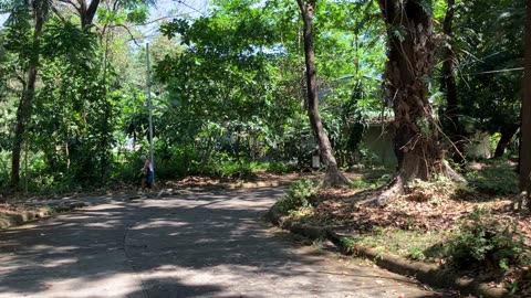 Green campus of Ateneo de Manila University