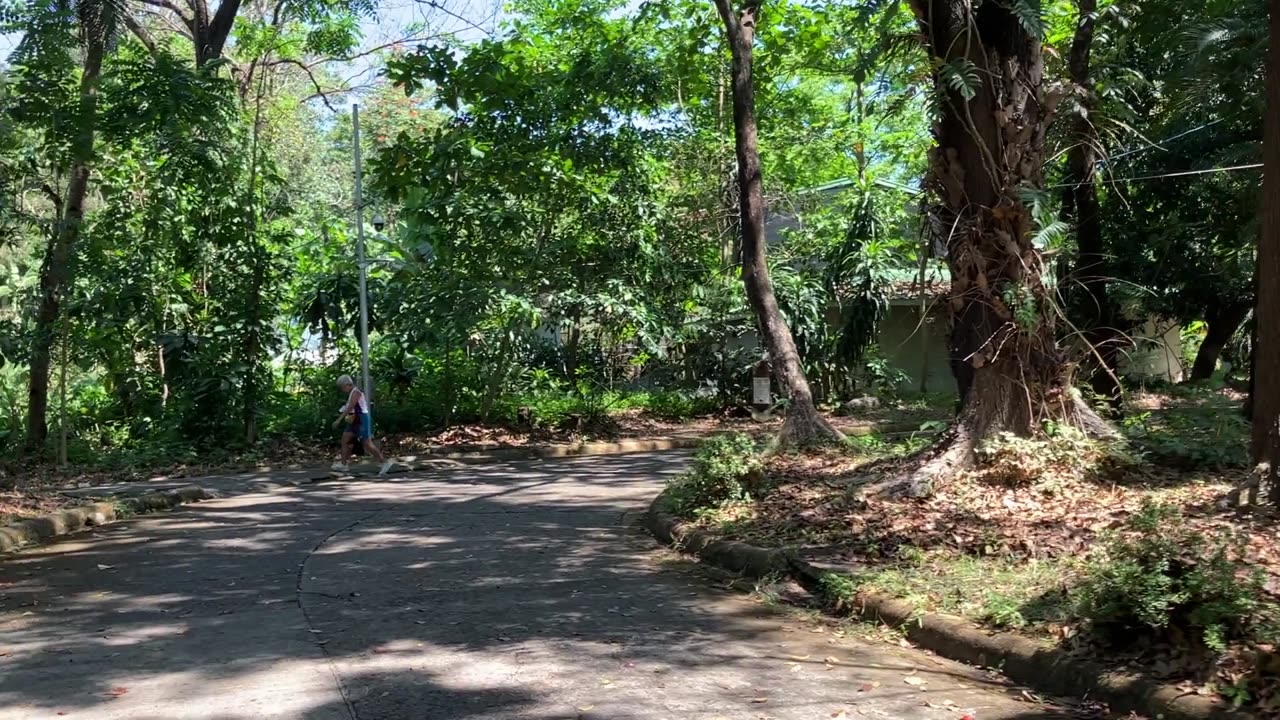 Green campus of Ateneo de Manila University