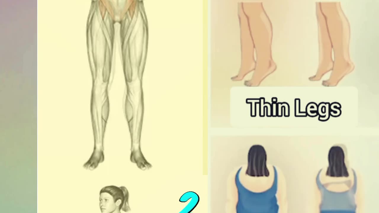 The Exercise Effect: Transforming Your Body from Head to Toe #shorts #imfitstudio