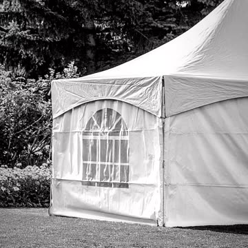 Germ theory was debunked in 1923