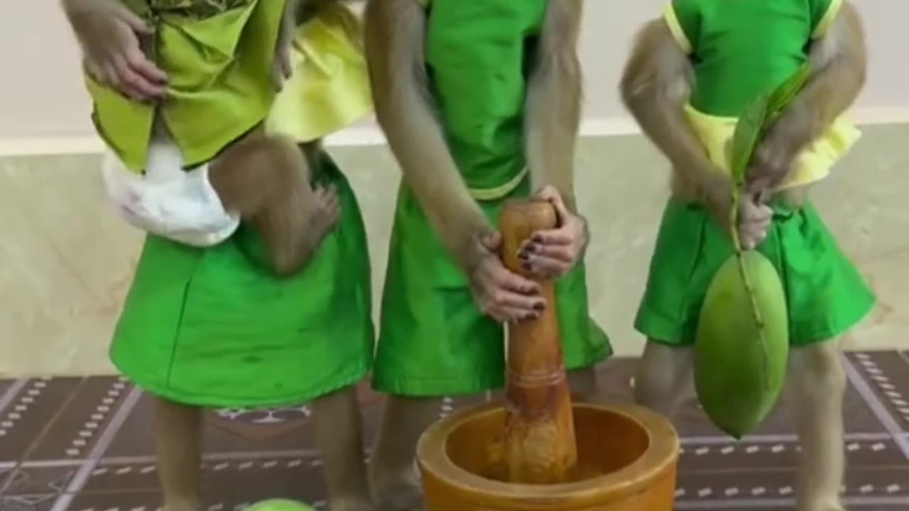 Bachhon Ka janwaron Se Bhaichara, amazing, Watch Till End & Enjoy.