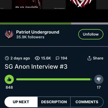 SGAnon: Patriot Underground : Brunson court case,