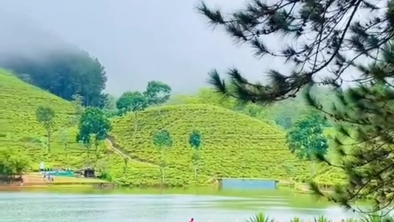 Beautiful nature🍃