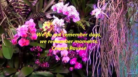 TOP 10 Life Quotes WISE WORDS ABOUT LIFE