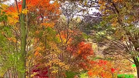 Beautiful scenery. Come and have a look