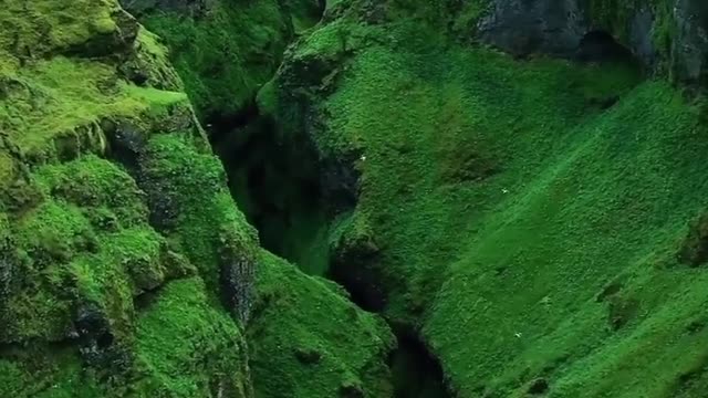 In nature's arms