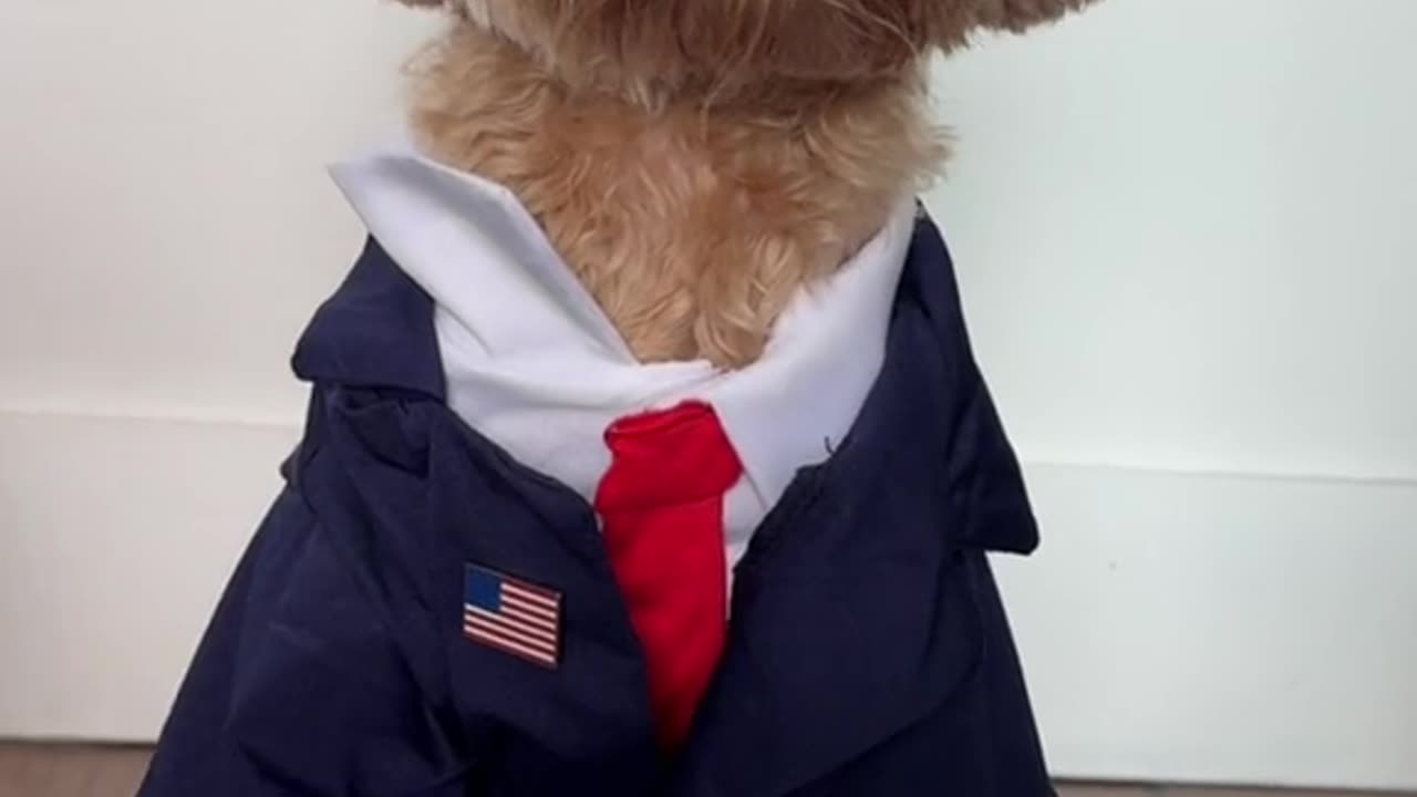 Funny Trump and Kamala Dog Skit