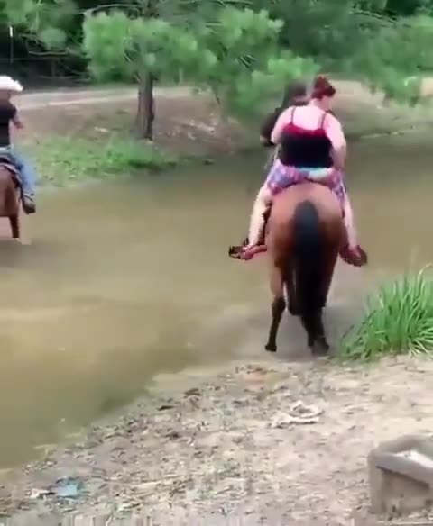 Funny videos mems viral funny good videos jav