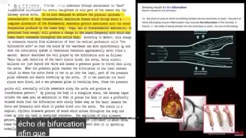 Experience Brain Hemisphere Synchronization