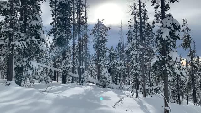 Climbing Above Tree Line – Central Oregon – Vista Butte Sno-Park – 4K