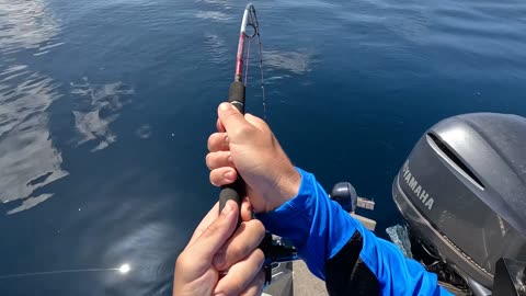 She Caught This FIRST DROP and The Day Just Kept On Giving
