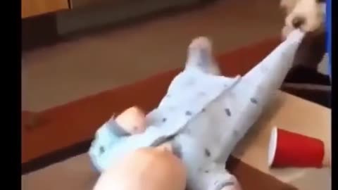 Funny Dog🐶 playing with baby