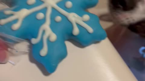 Snow Cookie for Princess