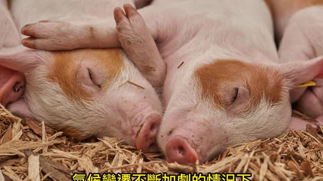 暖化讓人難眠 平均每年少睡44小時