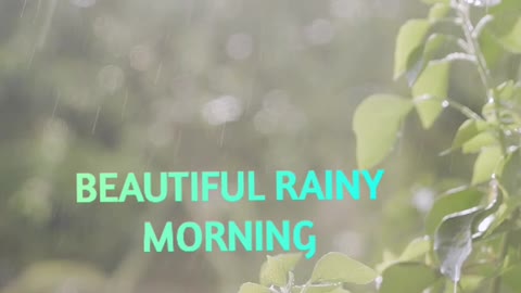 Rainy morning