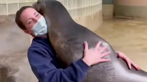 What a smart sea doggie!