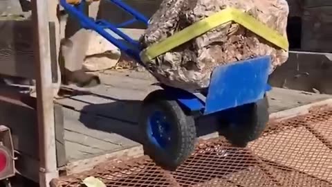 Funny video ,, hastag