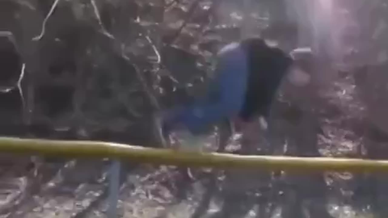 what was this guy thinking