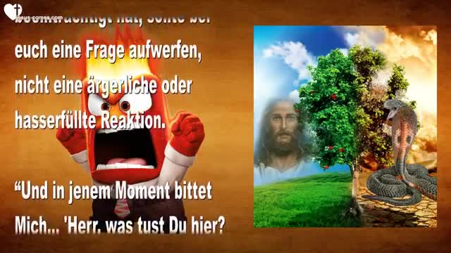 Nichts geschieht ohne Meine Erlaubnis... Also gilt all euer Ärger Mir ❤️ Liebesbrief von Jesus