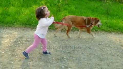 Walking with your dog