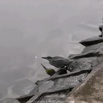 How fishing is done 🤣