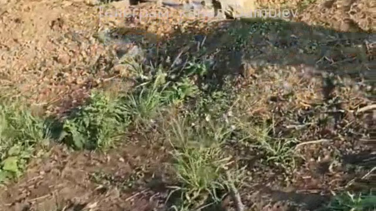 Cemetery of destroyed armored vehicles of Ukrainian formations. Zaporizhzhya direction